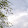 37 bee -