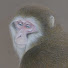 4WOEyjw3SsM-channel-avatar-【日本画家】諸星美喜