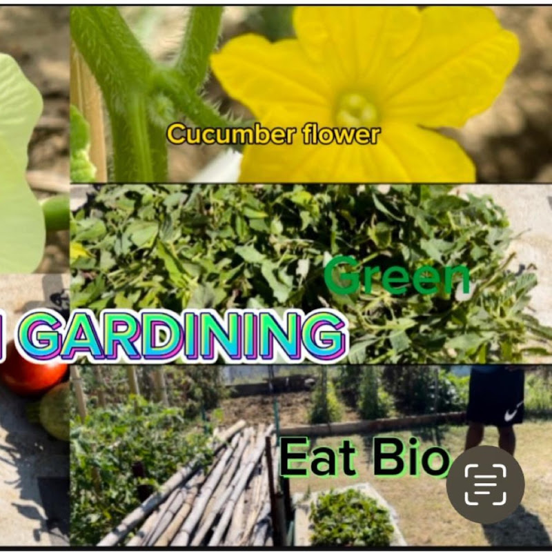 Urban Garden icon