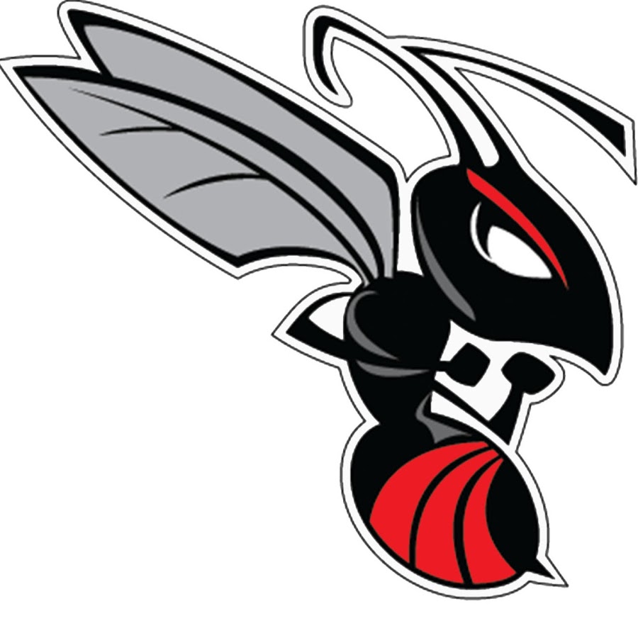 Heyworth HORNETS NEST - YouTube