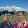 poudel prakash