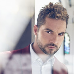 david bisbal