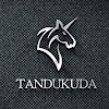 What could TANDUKUDA buy with $472.69 thousand?