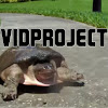 vidproject