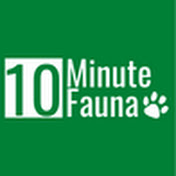10 Minute Fauna