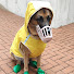 Sb8iaVmTt00-channel-avatar-Champion 🐕‍🦺