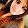 Ariana Negron