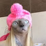 Вася Пупкин