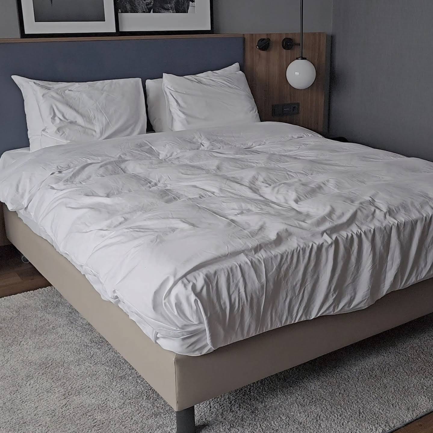 Post from Zebo the Bedjumper