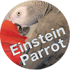 Einstein Parrot