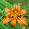 Sutton Massachusetts