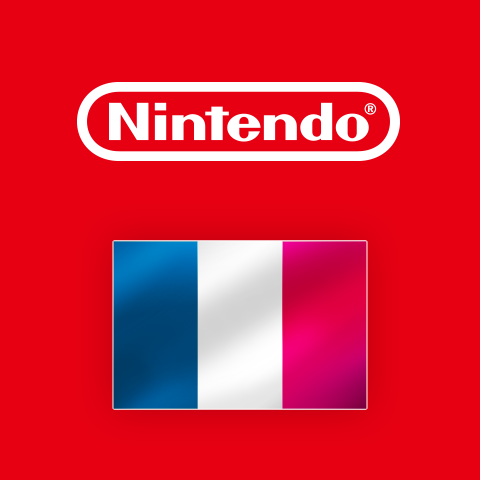 Resultado de imagem para Nintendo France