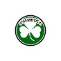 shamrock