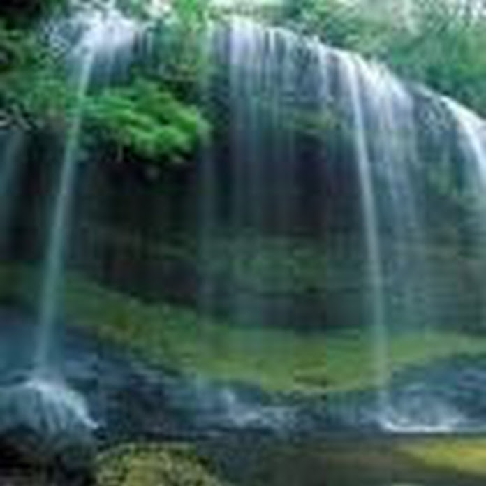 Giải Trí Tổng Hợp Net Worth & Earnings (2026)