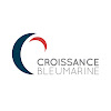 Croissance Bleu Marine
