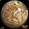 TCBeads