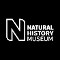 Goodbye to the baiji, the Yangtze River dolphin | Natural History