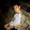 Jovan Climaco