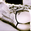 XBackToLifeBabyX