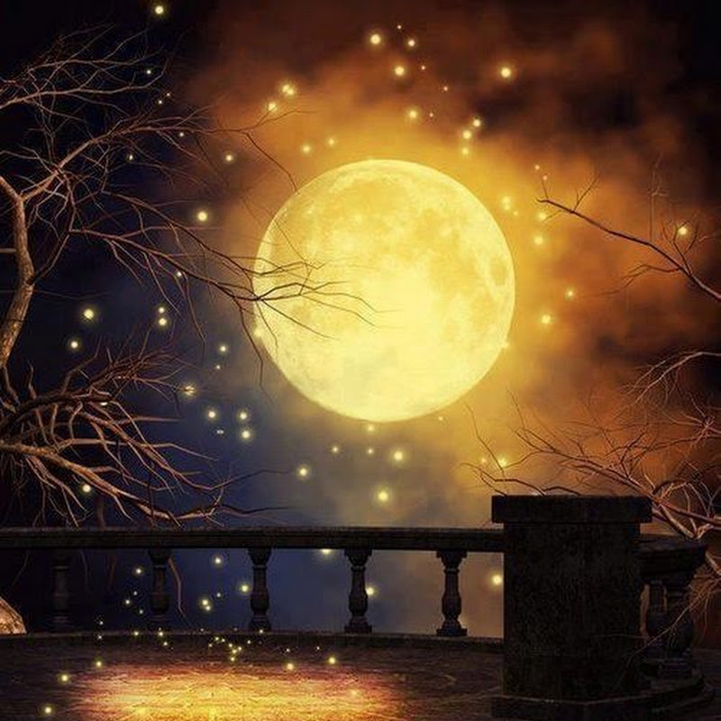 TheGoldenLuna🌙