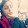 mariam mariam