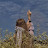 @وحيدةكالقمر-ه4د6د