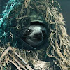 Slothability