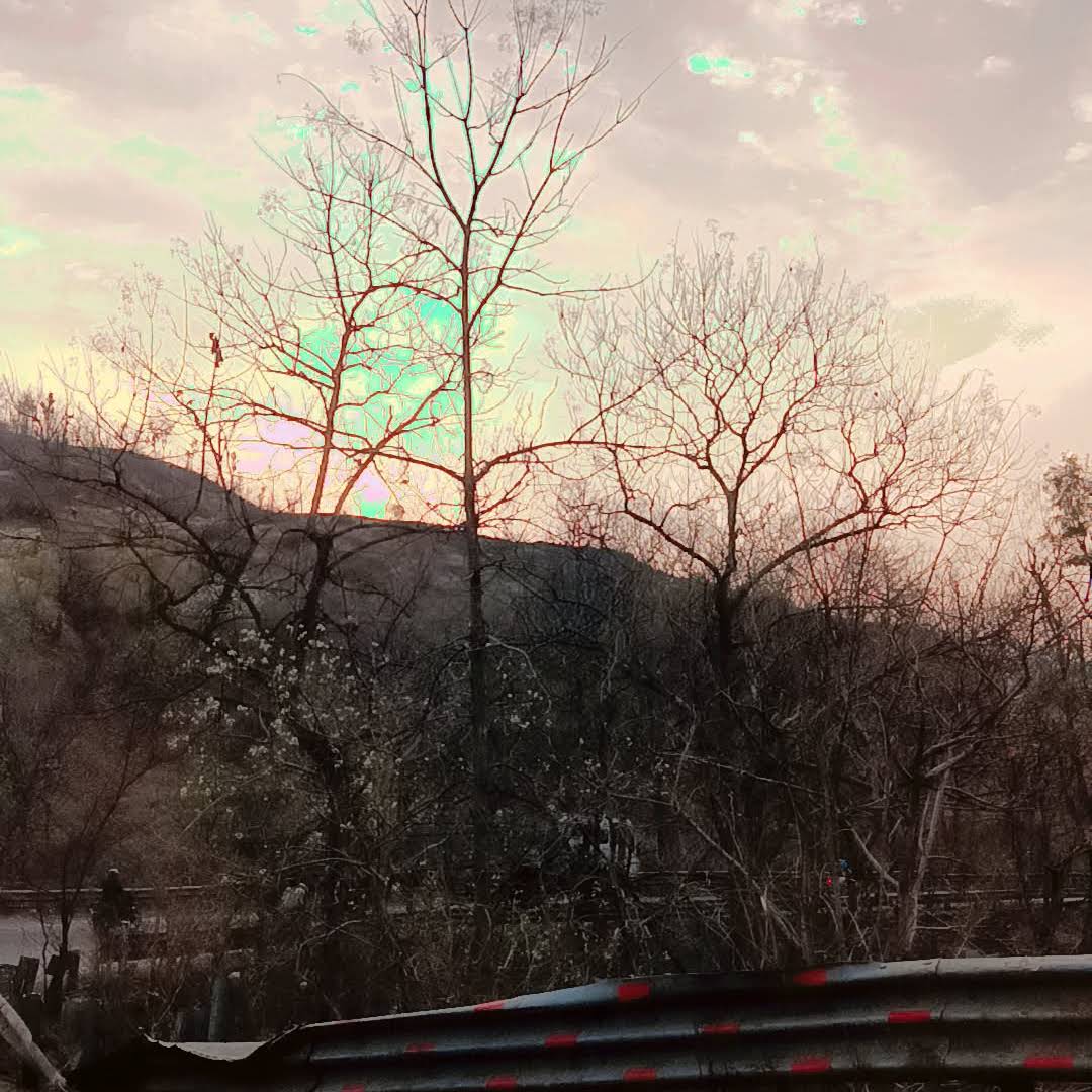 Post from @Miti 1234