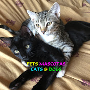 PETS MASCOTAS CATS & DOGS