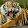 Tigerrapter the awesome