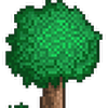 GrayGeo1