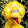 Big Bird