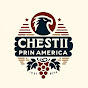 Chestii Prin America logo