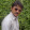 Saurabh Suman