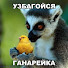 Иван Иванов