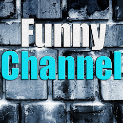 Best Funny Videos