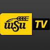 WSUTV