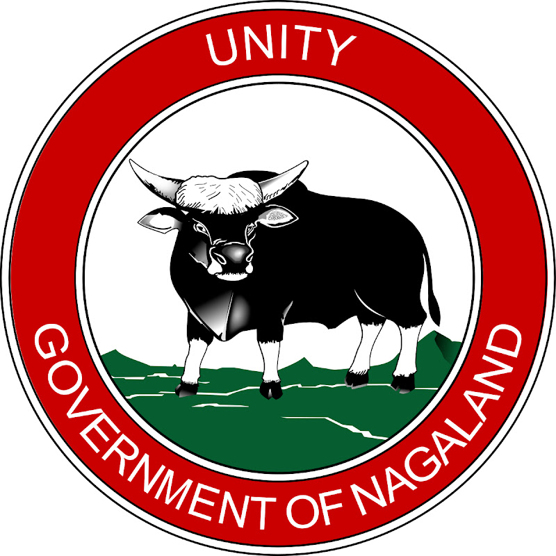 NAGALAND STATE LOTTERIES LIVE OFFICIAL1
