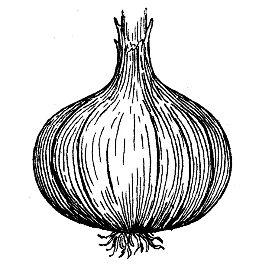 Onion seiten