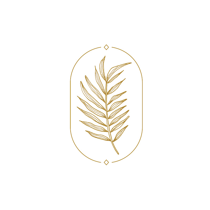 Redmond Digital Media - Wedding Videos