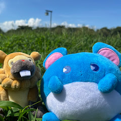 マリルのしっぽ