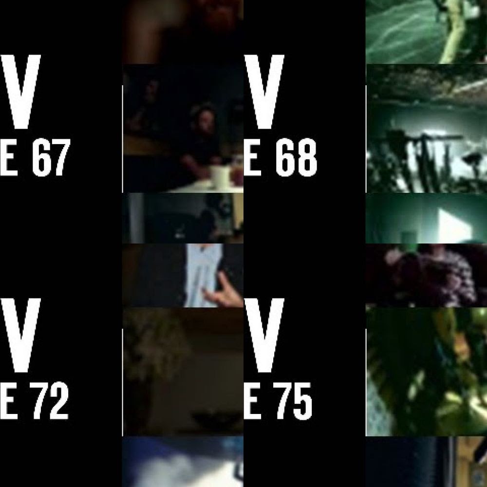 LPTV: LIVING THINGS (2012 - 2013)