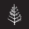 Four Seasons Hotels and Resorts