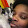 Lps Vlogs