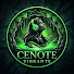 wll5gSOiGUs-channel-avatar-Cenote Vibrante
