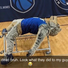 Timberwolves enjoyer 🐺🏀