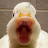 Lucky Duckie