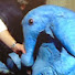 FDGHQDGN0Gg-channel-avatar-max rebo