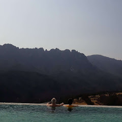 WHERE'S PETER ?  피터를 찾아라  ピーターをさがせ!