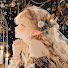 nUEqe0OqlgY-channel-avatar-Aetherial Celtic
